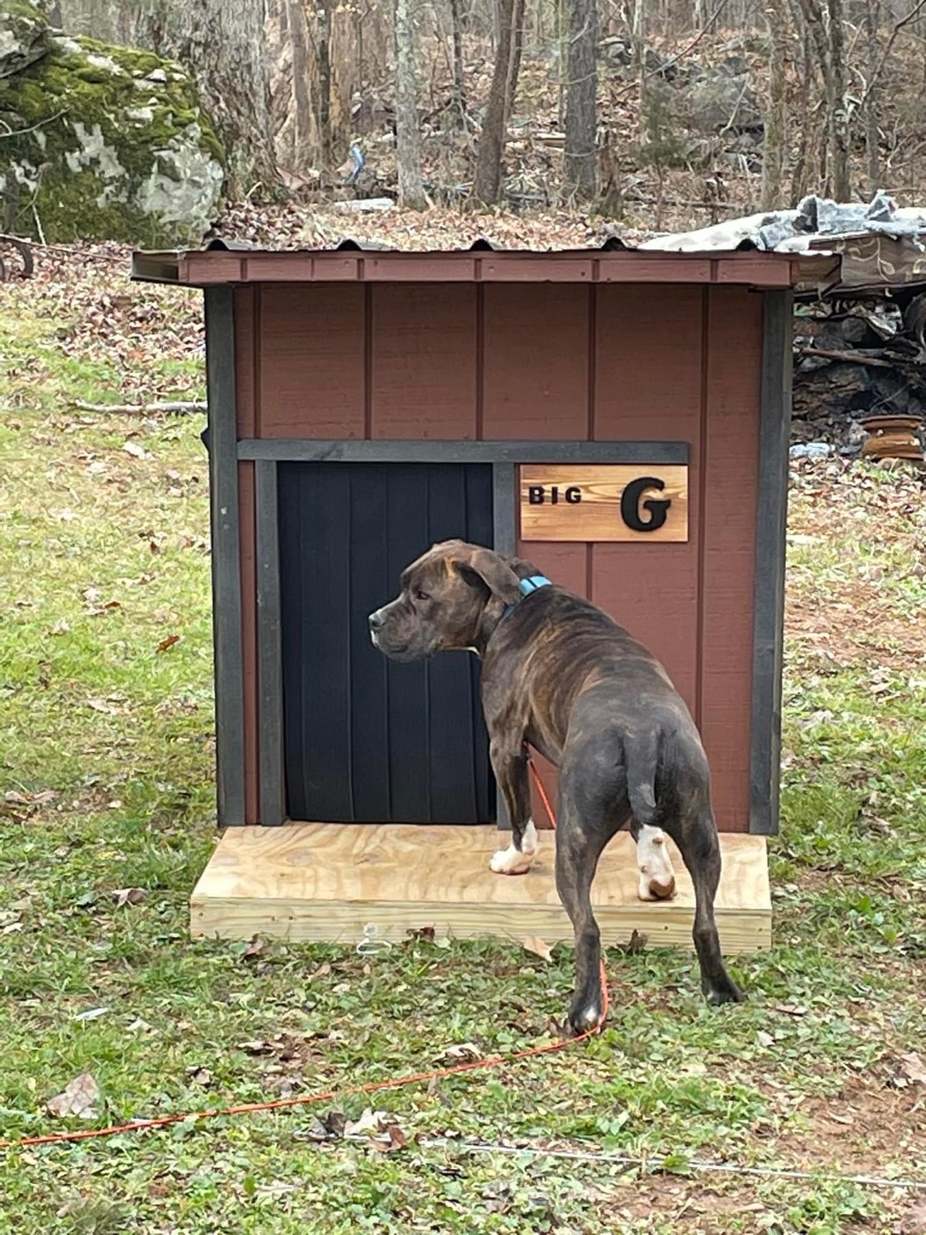 Custom dog house